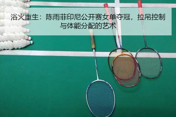 yu-huo-chong-sheng-chen-yu-fei-yin-ni-gong-kai-sai-nv-dan-duo-guan-la-diao-kong-zhi-yu-ti-neng-fen-pei-de-yi-shu-2-675.jpg